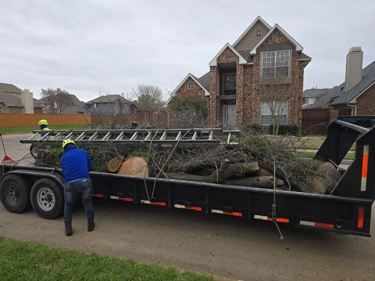Expert Tree Pest Control with proper safety equipment in Spiritwood